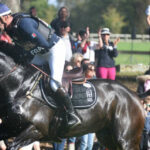 L’équitation, un monde de femmes… sauf au sommet