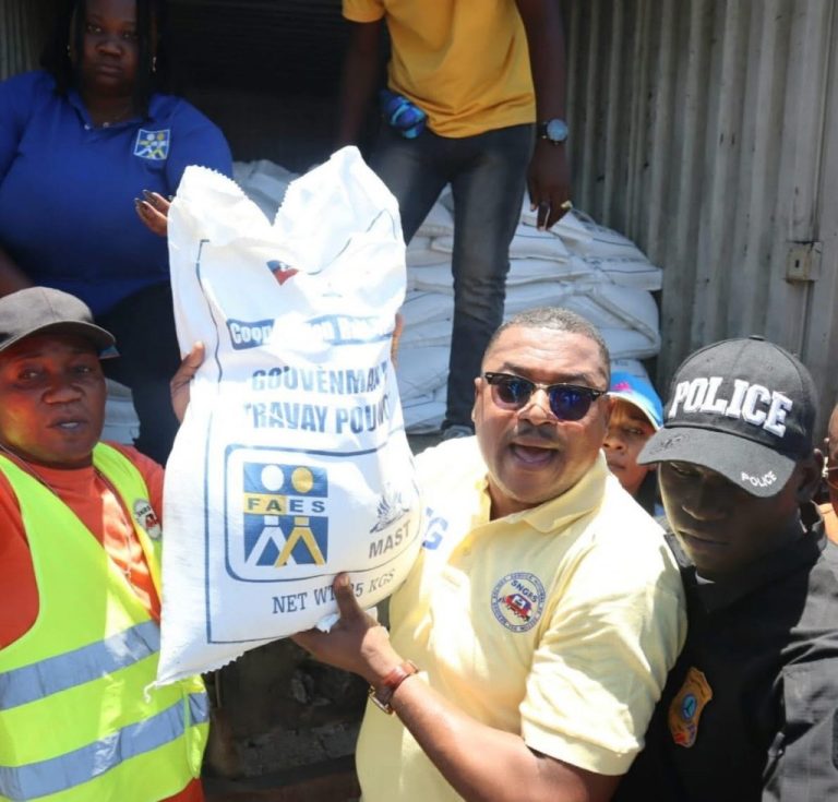 Distribution de kits alimentaires : le FAES intensifie son action dans la zone métropolitaine
