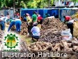 La foire d&rsquo;agroforesterie en Haïti, dans la commune de Limbé, tient ses promesses